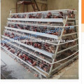 new design chicken layer cage for chicken                        
                                                Quality Choice